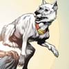Krypto