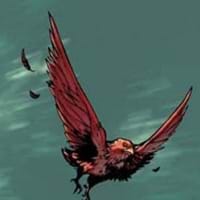 Redwing