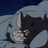 Rhino