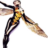 Wasp