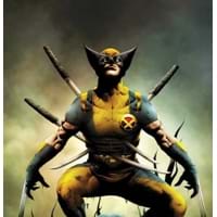 Wolverine